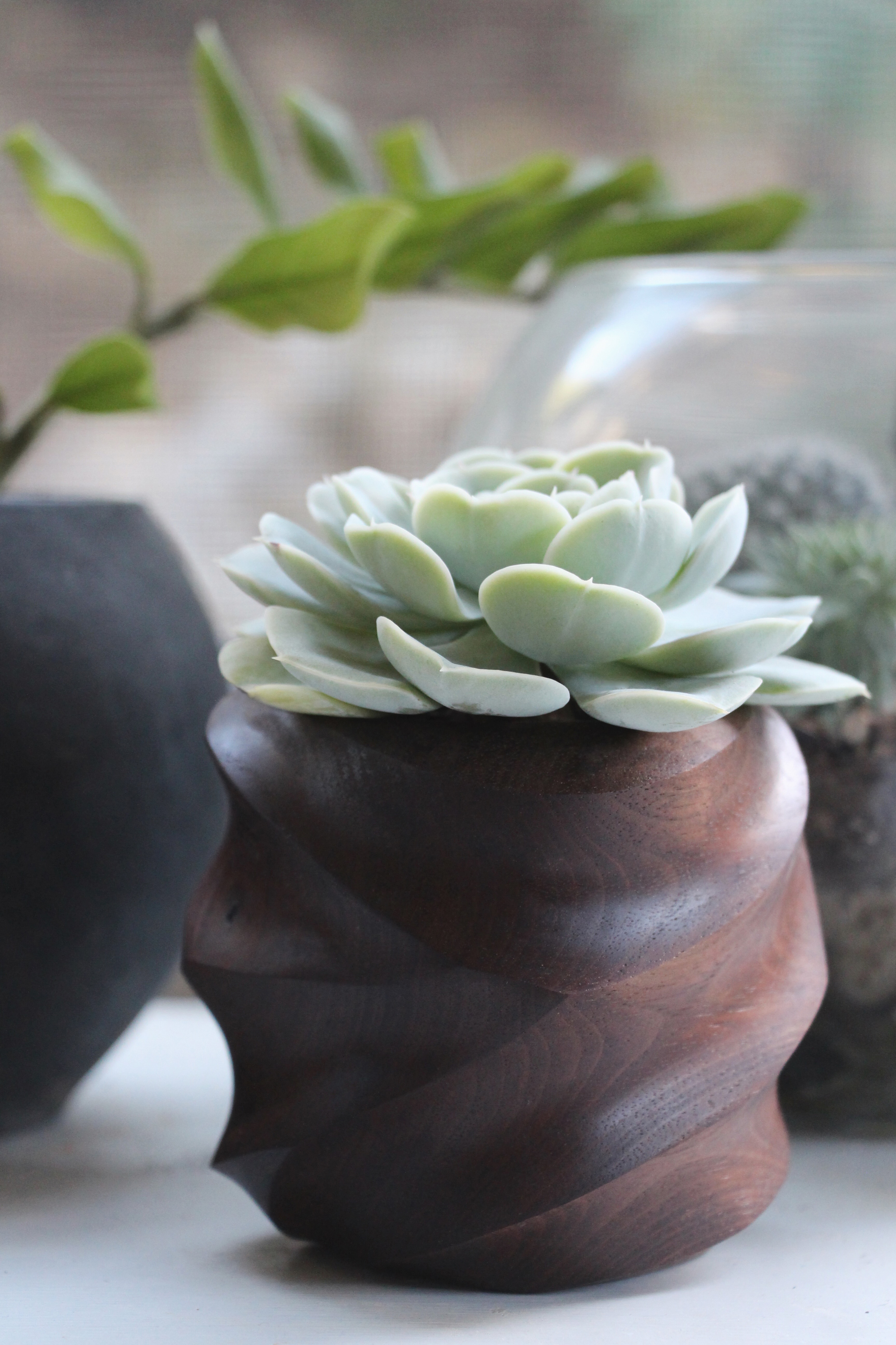 Foxwood Co. FORMA Walnut Vessel handmade and handcrafted wood succulent planter via Needles + Leaves blog.